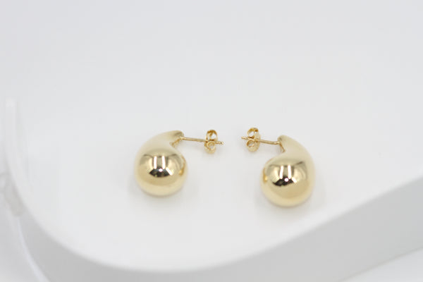 Regal Curve Earrings