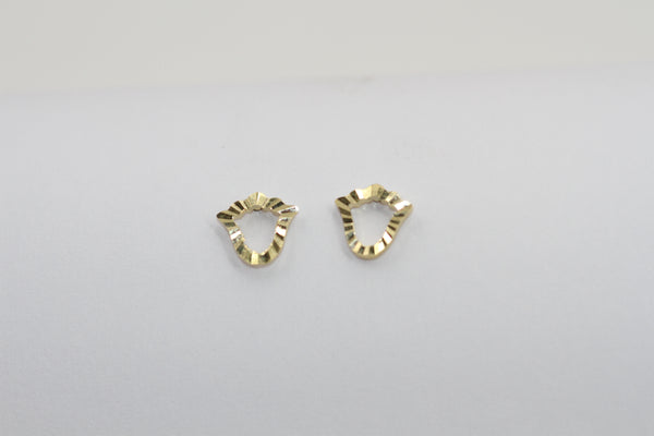 Shield Gleam Earrings